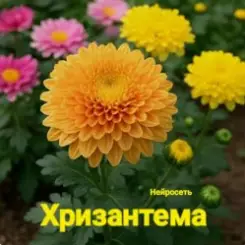 Нейросеть - Хризантема слушать онлайн