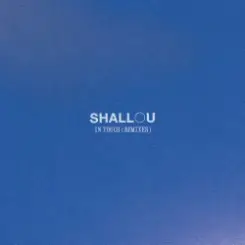 Shallou - Face in the Crowd (Knowpoint Remix) слушать онлайн