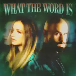 Jackie Hollander & Malóne & Baby Bash - What The Word Is слушать онлайн