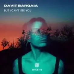 Davit Barqaia - But I Can t See You слушать онлайн