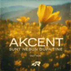 Akcent - Sunt nebun dupa tine слушать онлайн
