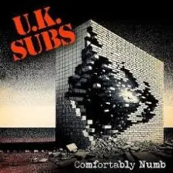 UK Subs - Comfortably Numb слушать онлайн