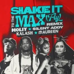MOLIY & Silent Addy - Shake It To The Max (FLY) [Kalash & Maureen Remix] слушать онлайн