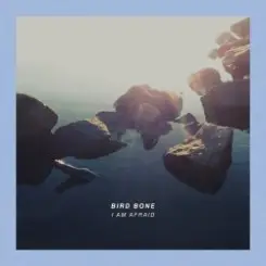 Bird Bone - Knife For My Wife слушать онлайн