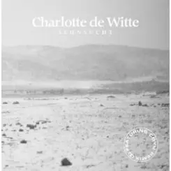 Charlotte De Witte - Den Ganzen Abend слушать онлайн