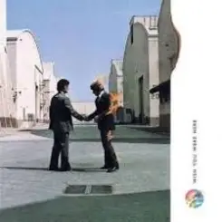 Rik Emmett, Joe Satriani, Edgar Froese - Wish You Were Here слушать онлайн