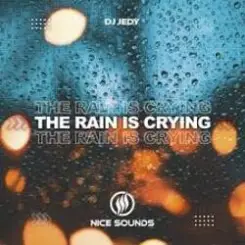 DJ JEDY - The Rain Is Crying слушать онлайн
