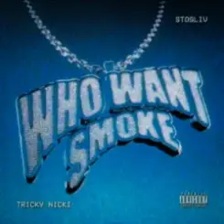 Tricky Nicki & STOSLIV - Who Want Smoke? слушать онлайн