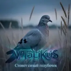 ViTaLiKuS - Стонет сизый голубочек слушать онлайн