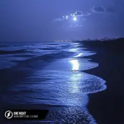 Alosa, Booty Leak, Elle Blue - One Night слушать онлайн