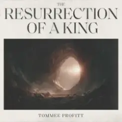 Tommee Profitt & Jamie MacDonald - We Turn Our Eye слушать онлайн