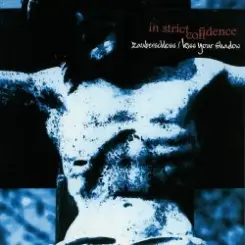 In Strict Confidence - Kiss Your Shadow (Extended Version) слушать онлайн