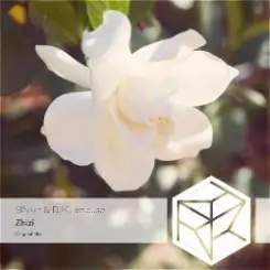 DJ Classbuse & SINKin - Zhizi (Extended Mix) слушать онлайн
