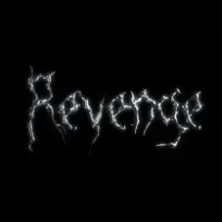 The Revenge - Every Night слушать онлайн