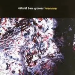Natural Born Grooves - Forerunner (Future Breeze Mix) слушать онлайн