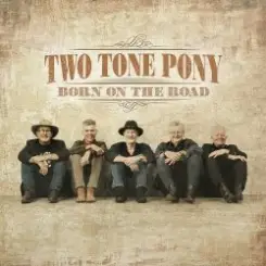 Two Tone Pony - The Flood слушать онлайн
