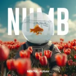 Linkin Park - Numb (Mentol Remix) Aurah Cover слушать онлайн
