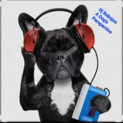 Dj Bobojon - A Dog's Perspective слушать онлайн