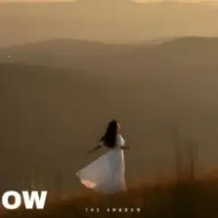 The Shadow - The lesson of love слушать онлайн
