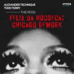 Felix Da Housecat - What Does It Feel Like слушать онлайн