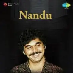 Nandu - Forever In Our Favor слушать онлайн