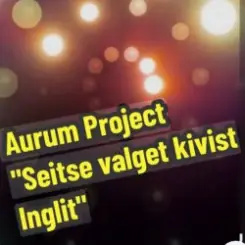 Aurum Project - Seitse Valget Kivist Inglit слушать онлайн