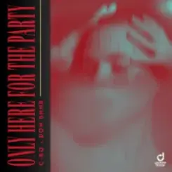 Only Here For The Party - C-Ro & Don Bnnr слушать онлайн