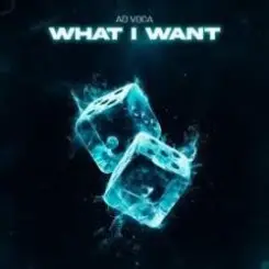 Ad Voca - What I Want слушать онлайн