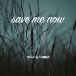 LiQWYD - Save me now слушать онлайн