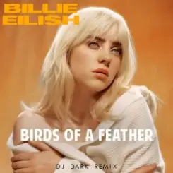 Billie Eilish - Birds Of A Feather слушать онлайн