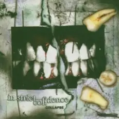In Strict Confidence - Prisoner слушать онлайн