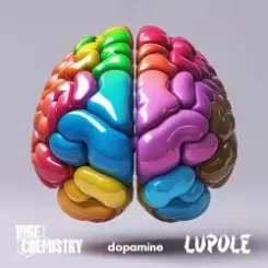 Vibe Chemistry, Elro, Lupole - Burst My Bubble слушать онлайн