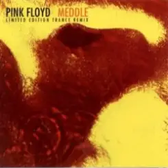 Pink Floyd & The Orb - One Of These Days слушать онлайн