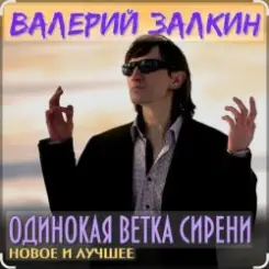 Валерий Залкин - Одинокая ветка сирени слушать онлайн
