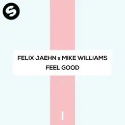 Felix Jaehn x Mike Williams - Feel Good слушать онлайн