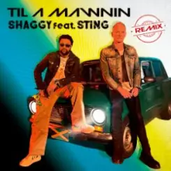 Shaggy & Sting - Til A Mawnin (Remix) слушать онлайн