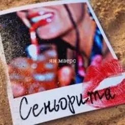 Ян Маерс - Сеньорита слушать онлайн