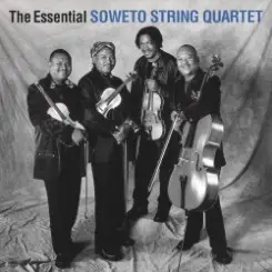 The String Quartet - Paint in black слушать онлайн
