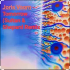 Joris Voorn - Tomorrow (Sultan & Shepard Remix) слушать онлайн