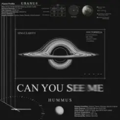 HUMMUS - Can You See Me слушать онлайн