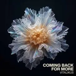 ViTaLiKuS - Coming Back for More слушать онлайн
