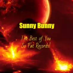 Sunny Bunny - The Best of You So Fat Records! слушать онлайн
