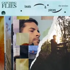 Catching Flies - When It's Late слушать онлайн