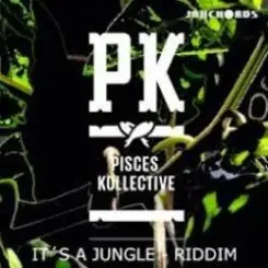 Pisces Kollective, Alev - Little China (Original Mix) слушать онлайн