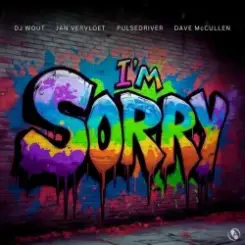 DJ Wout x Jan Vervloet x Pulsedriver - I'm Sorry слушать онлайн