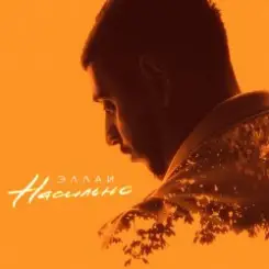 Эллаи - Насильно слушать онлайн