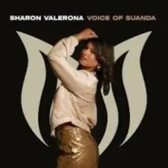 Aurosonic & Sharon Valerona - Horizon (Extended Mix) слушать онлайн