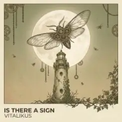 ViTaLiKuS - Is There a Sign слушать онлайн