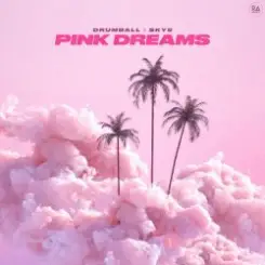 Drumball, SKY5 - Pink Dreams слушать онлайн