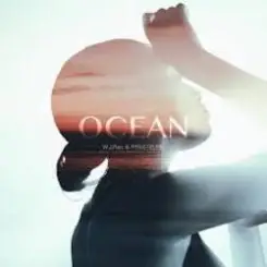 W.J.Rec, FRXSTBURN - Ocean слушать онлайн